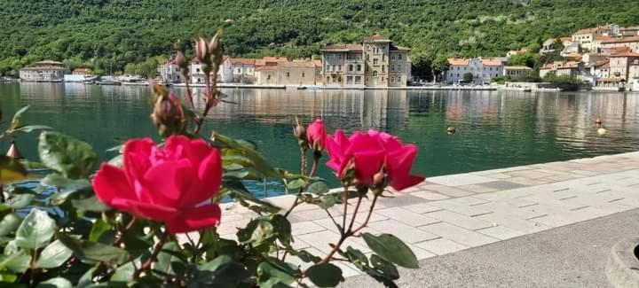 Apartmani Petar I Luka Bakar Luaran gambar